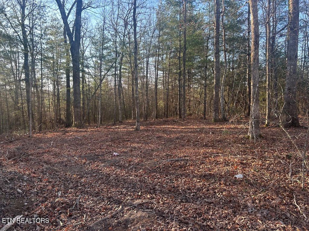 Photo of 239 Sewell Drive, Allardt, TN 38504 (MLS # 1334784)