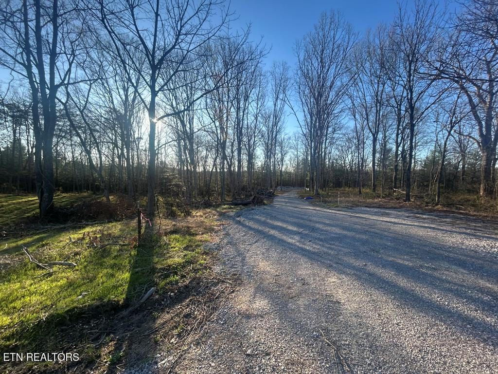 Photo of 239 Sewell Drive, Allardt, TN 38504 (MLS # 1334784)