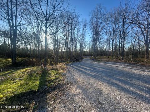 Photo of 239 Sewell Drive, Allardt, TN 38504 (MLS # 1334784)