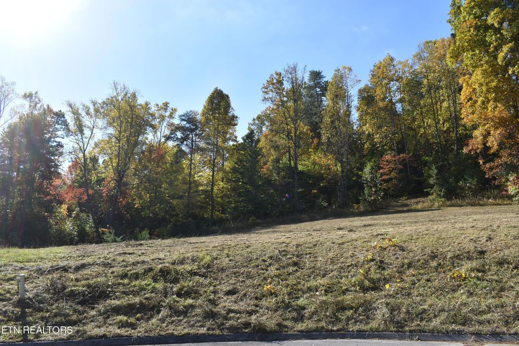 Photo of 7 Briar Ridge Lane, Strawberry Plains, TN 37871 (MLS # 1243635)