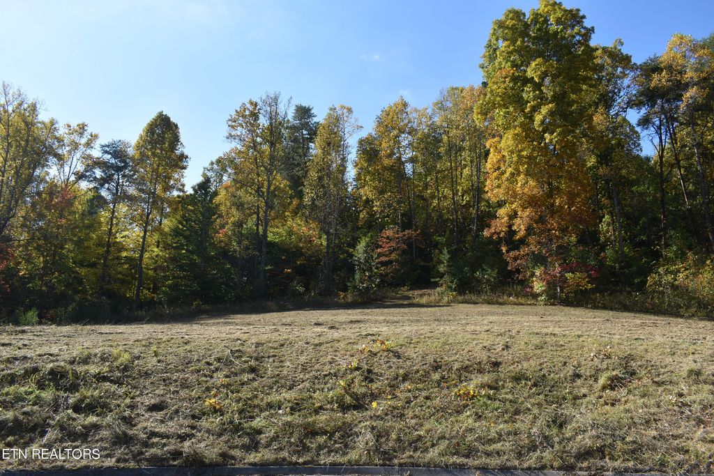 Photo of 7 Briar Ridge Lane, Strawberry Plains, TN 37871 (MLS # 1243635)