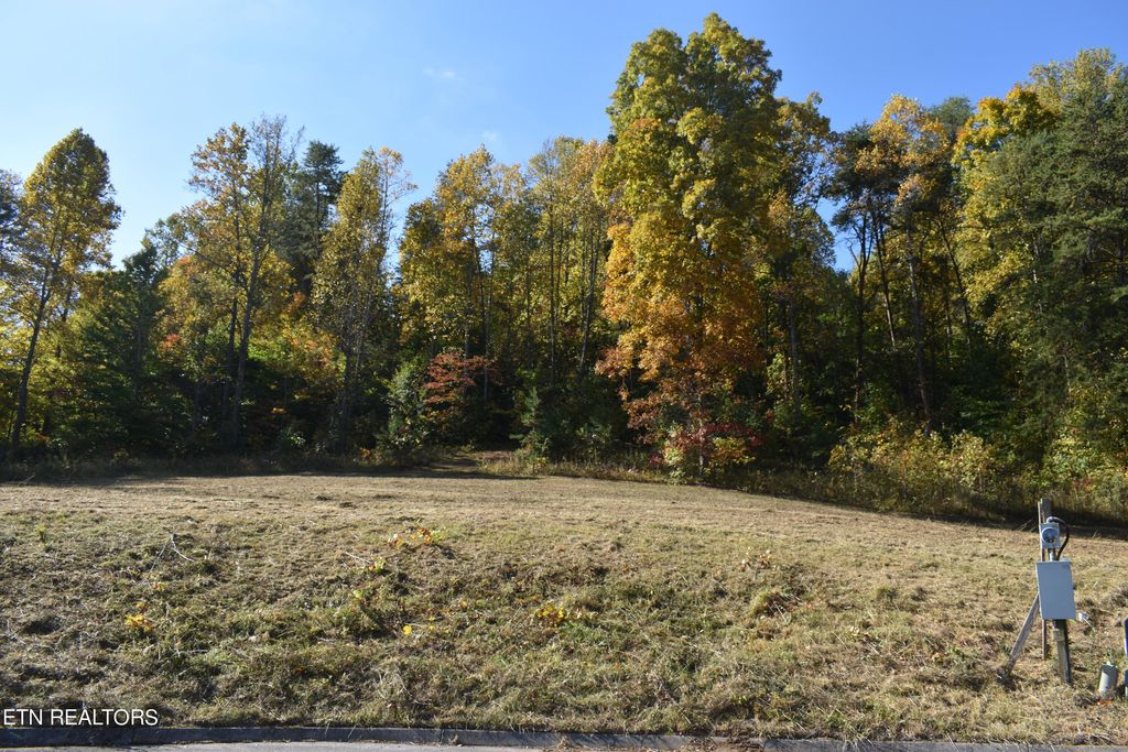 Photo of 7 Briar Ridge Lane, Strawberry Plains, TN 37871 (MLS # 1243635)