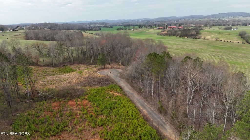 Photo of 144 County Road 516, Englewood, TN 37329 (MLS # 1331567)