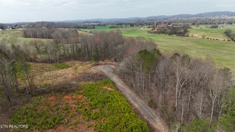 144 County Road 516 Englewood TN 37329