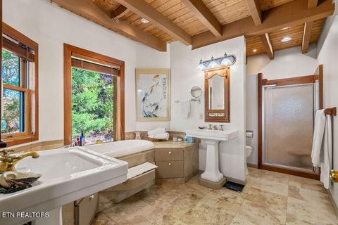 Tiny photo for 117 Chickasaw Point, Ten Mile, TN 37880 (MLS # 1339434)
