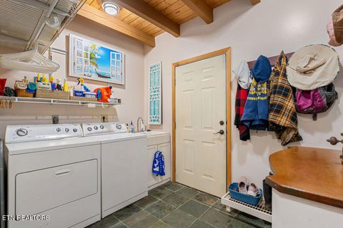 Tiny photo for 117 Chickasaw Point, Ten Mile, TN 37880 (MLS # 1339434)