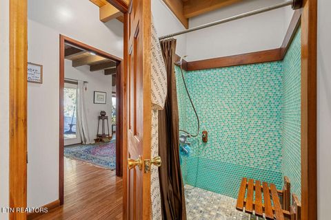 Tiny photo for 117 Chickasaw Point, Ten Mile, TN 37880 (MLS # 1339434)