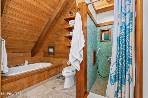 Tiny photo for 117 Chickasaw Point, Ten Mile, TN 37880 (MLS # 1339434)