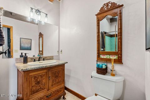 Tiny photo for 117 Chickasaw Point, Ten Mile, TN 37880 (MLS # 1339434)