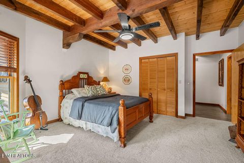 Tiny photo for 117 Chickasaw Point, Ten Mile, TN 37880 (MLS # 1339434)