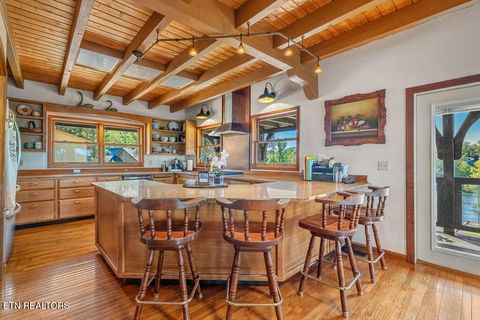 Tiny photo for 117 Chickasaw Point, Ten Mile, TN 37880 (MLS # 1339434)