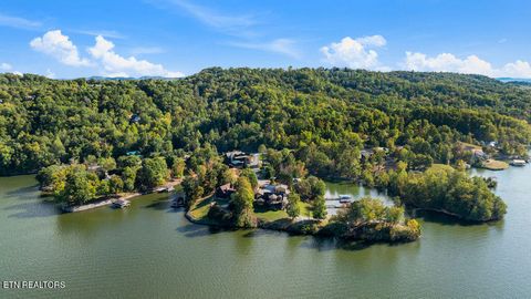 Tiny photo for 117 Chickasaw Point, Ten Mile, TN 37880 (MLS # 1339434)