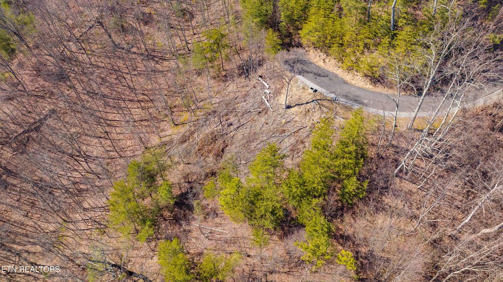 Photo of Cumberland Way, Gatlinburg, TN 37738 (MLS # 1293063)