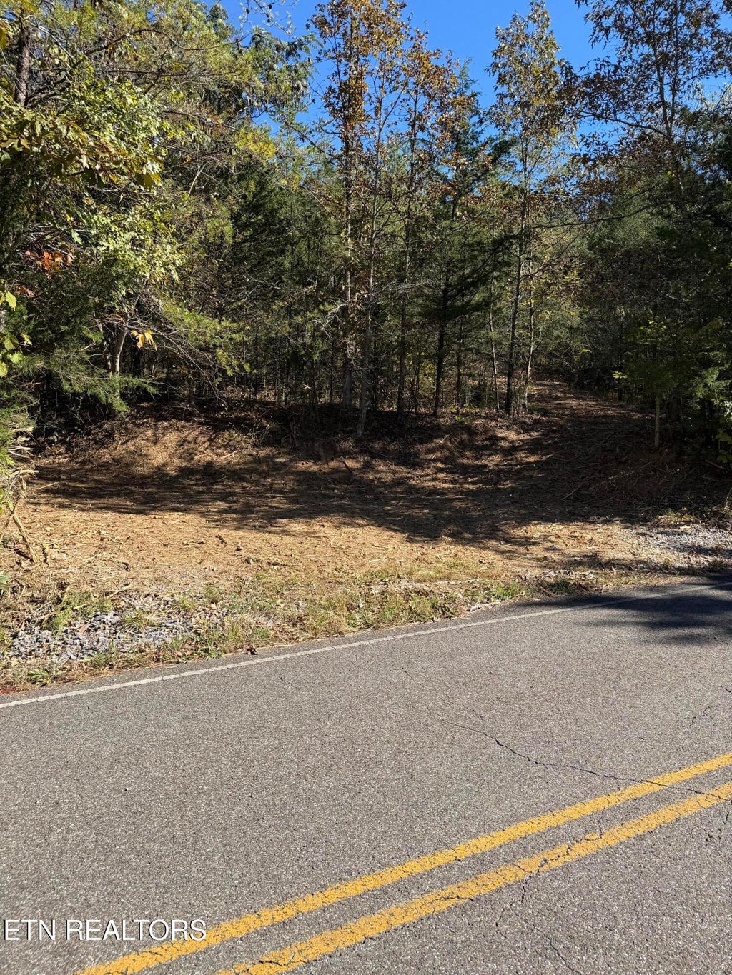 Photo of 0 Smith School Rd, Strawberry Plains, TN 37871 (MLS # 1360593)