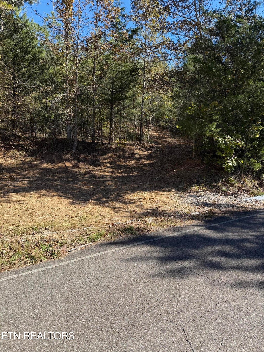 Photo of 0 Smith School Rd, Strawberry Plains, TN 37871 (MLS # 1360593)