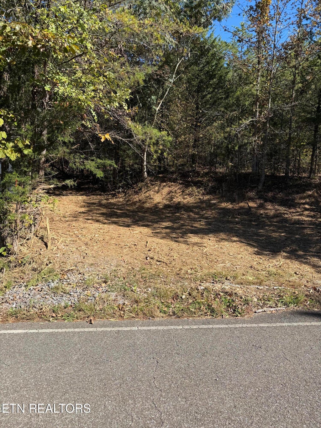 Photo of 0 Smith School Rd, Strawberry Plains, TN 37871 (MLS # 1360593)