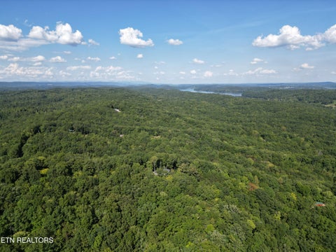 Tiny photo for Lake overlook Drive, Rockwood, TN 37854 (MLS # 1357473)