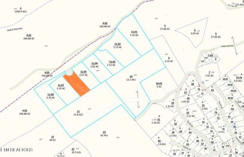 207 Eagle View Lane Jacksboro TN 37757