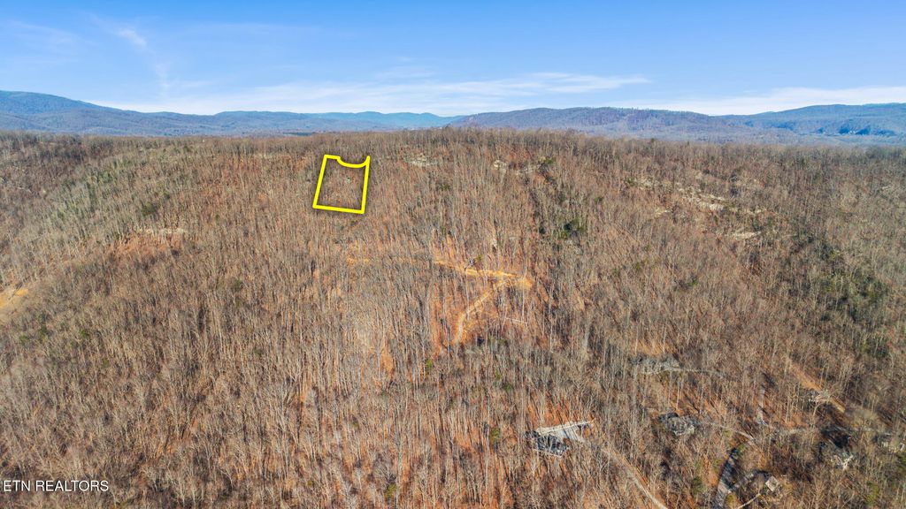 Photo of 207 Eagle View Lane, Jacksboro, TN 37757 (MLS # 1329522)