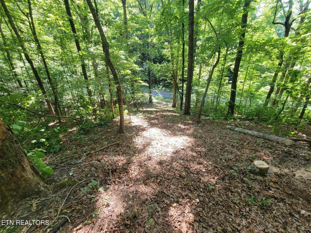 Photo of 6224 Get Good Hollow Rd, Loudon, TN 37774 (MLS # 1304909)