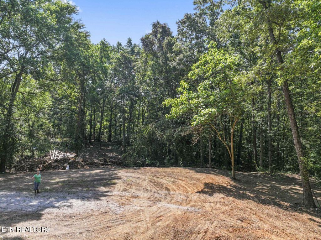 Photo of 214 Walnut Grove Road Rd, Kingston, TN 37763 (MLS # 1306311)