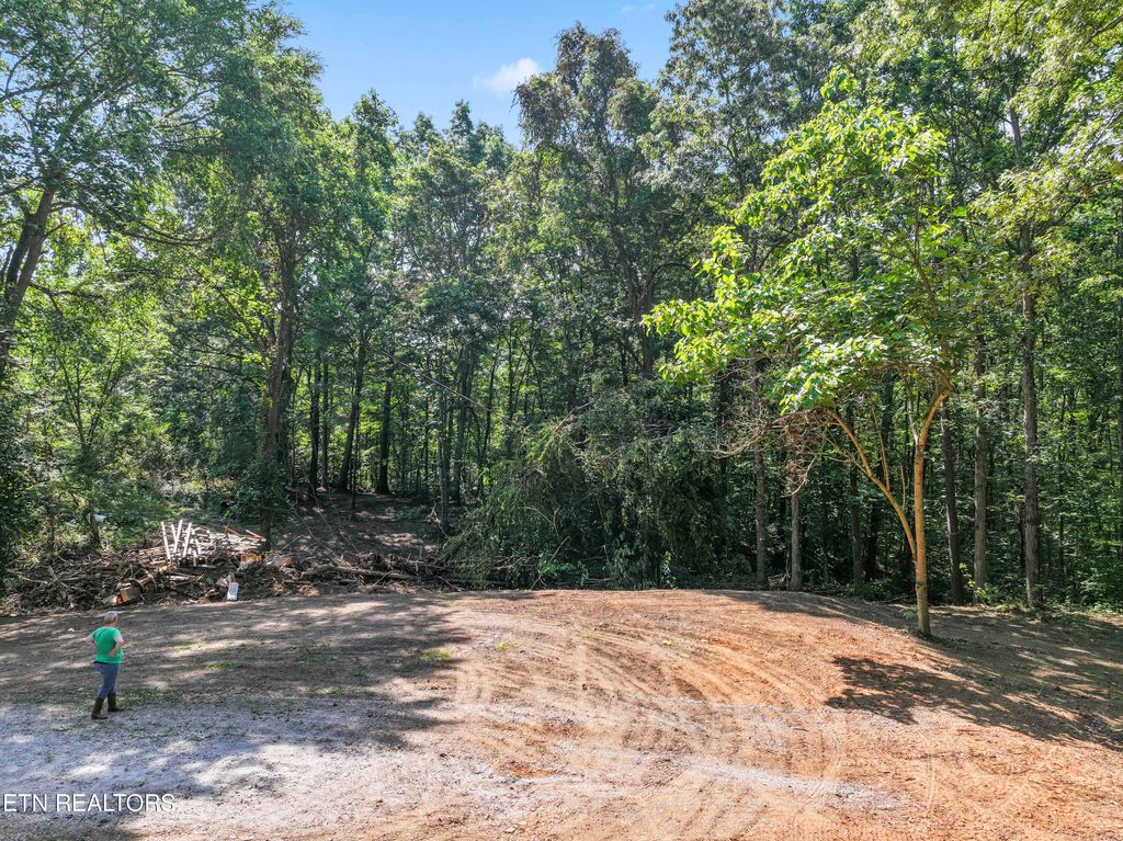 Photo of 214 Walnut Grove Road Rd, Kingston, TN 37763 (MLS # 1306311)