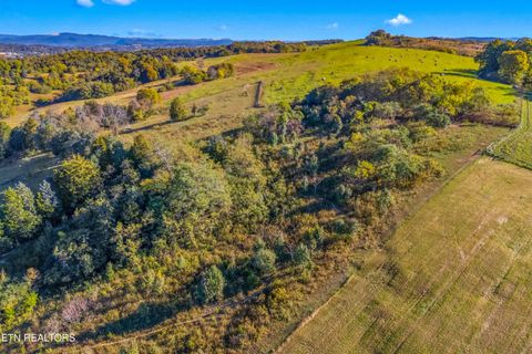 Tiny photo for 1575 Thompson Creek Rd, Morristown, TN 37813 (MLS # 1319335)