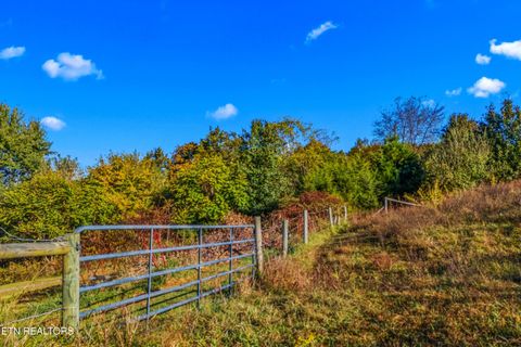 Tiny photo for 1575 Thompson Creek Rd, Morristown, TN 37813 (MLS # 1319335)