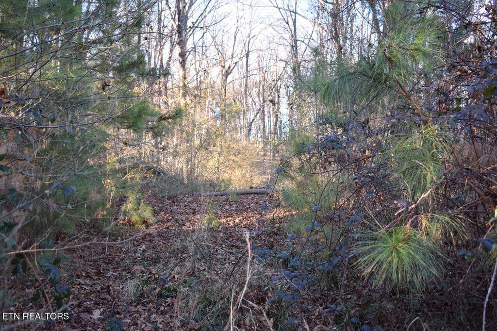 Photo of 1 Eldridge Lane, Cleveland, TN 37311 (MLS # 1328221)