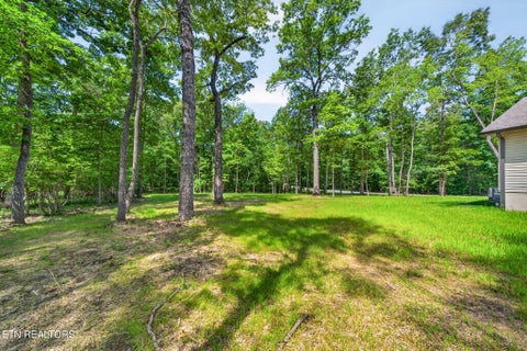Tiny photo for 1146 Natchez Trace, Crossville, TN 38572 (MLS # 1343429)