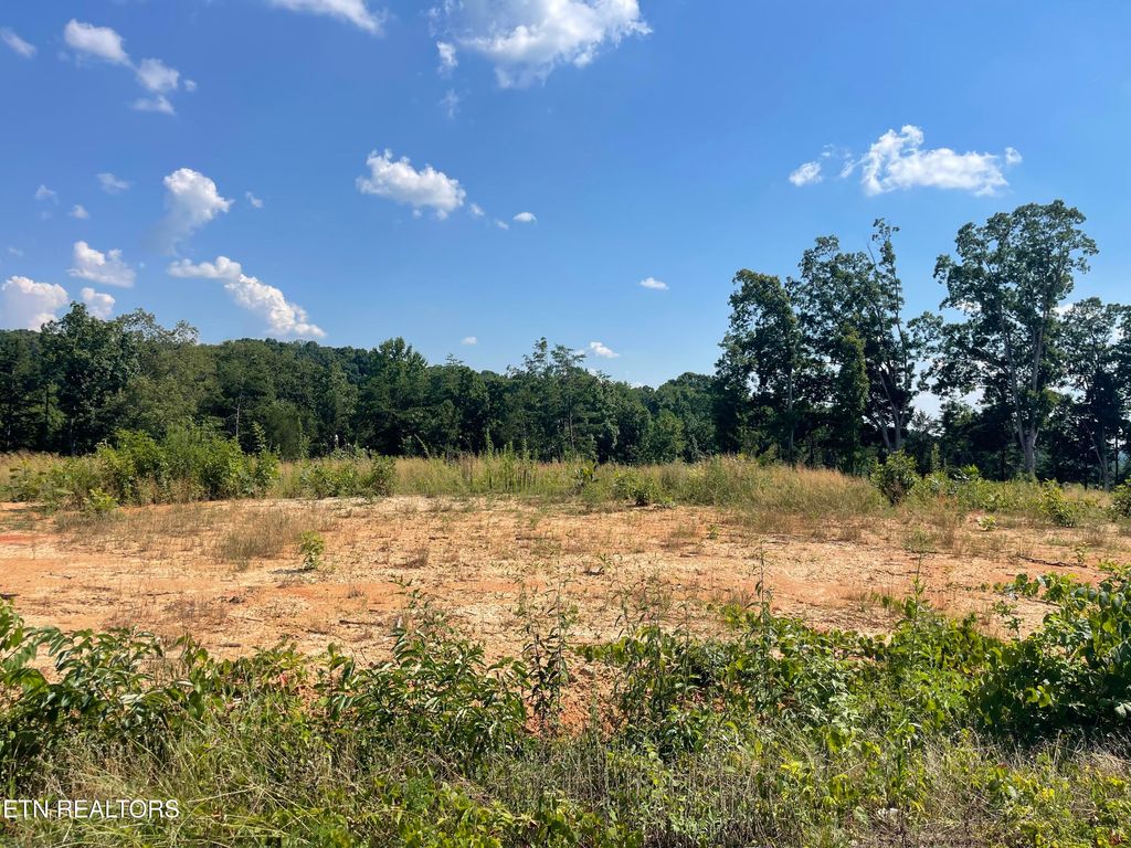 Photo of 20 Laura Boling Loop Rd, Strawberry Plains, TN 37871 (MLS # 1307388)