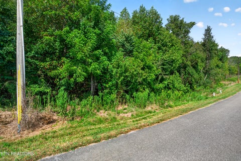 Tiny photo for 53 Hidden River Ave, Sparta, TN 38583 (MLS # 1355659)