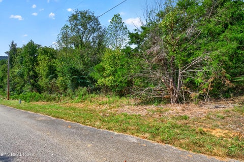 Tiny photo for 53 Hidden River Ave, Sparta, TN 38583 (MLS # 1355659)