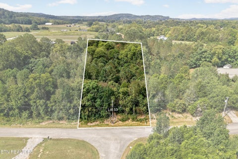 Photo of 53 Hidden River Ave, Sparta, TN 38583 (MLS # 1355659)