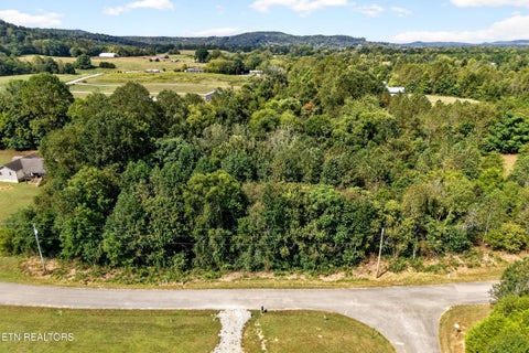 Tiny photo for 53 Hidden River Ave, Sparta, TN 38583 (MLS # 1355659)