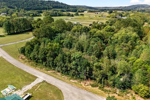 Tiny photo for 53 Hidden River Ave, Sparta, TN 38583 (MLS # 1355659)