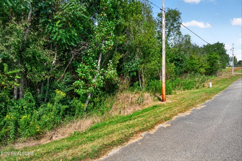 Tiny photo for 53 Hidden River Ave, Sparta, TN 38583 (MLS # 1355659)