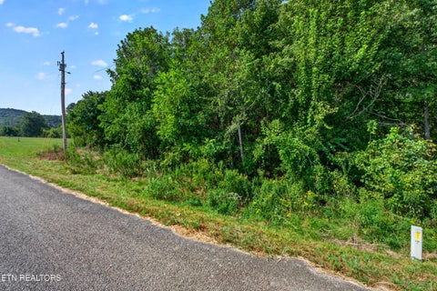 Tiny photo for 53 Hidden River Ave, Sparta, TN 38583 (MLS # 1355659)