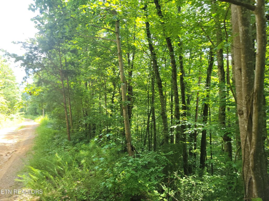 Photo of 81 Buttonwood Drive, Sevierville, TN 37876 (MLS # 1345059)
