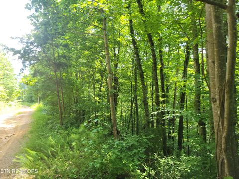 Photo of 81 Buttonwood Drive, Sevierville, TN 37876 (MLS # 1345059)