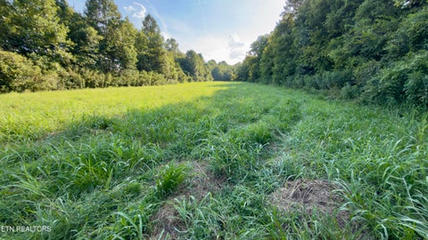 Tiny photo for 122 Frog Hollow Rd, Delano, TN 37325 (MLS # 1356205)