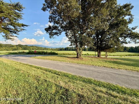 Tiny photo for 122 Frog Hollow Rd, Delano, TN 37325 (MLS # 1356205)