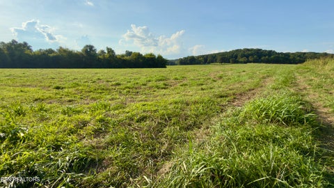 Tiny photo for 122 Frog Hollow Rd, Delano, TN 37325 (MLS # 1356205)