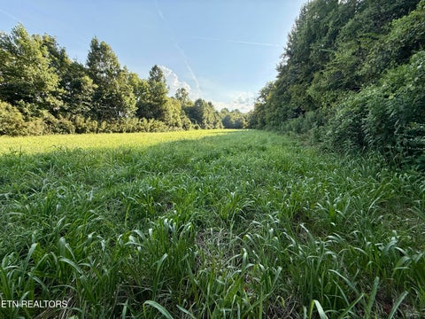 Tiny photo for 122 Frog Hollow Rd, Delano, TN 37325 (MLS # 1356205)