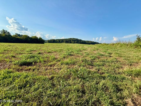 Tiny photo for 122 Frog Hollow Rd, Delano, TN 37325 (MLS # 1356205)