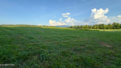 Tiny photo for 122 Frog Hollow Rd, Delano, TN 37325 (MLS # 1356205)
