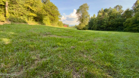 Tiny photo for 122 Frog Hollow Rd, Delano, TN 37325 (MLS # 1356205)