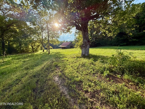Tiny photo for 122 Frog Hollow Rd, Delano, TN 37325 (MLS # 1356205)