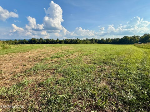 Tiny photo for 122 Frog Hollow Rd, Delano, TN 37325 (MLS # 1356205)