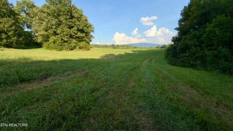 Tiny photo for 122 Frog Hollow Rd, Delano, TN 37325 (MLS # 1356205)
